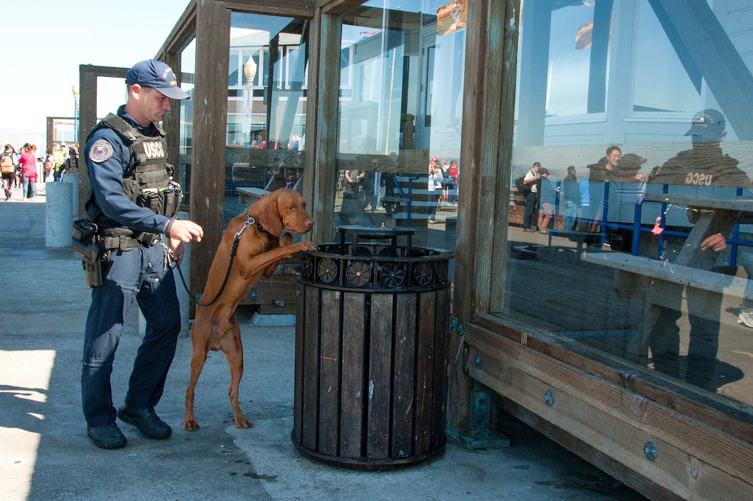 Petty Officer 1st Class Cory Sumner guides Feco, a bomb-detection dog, checking a trash receptacle.