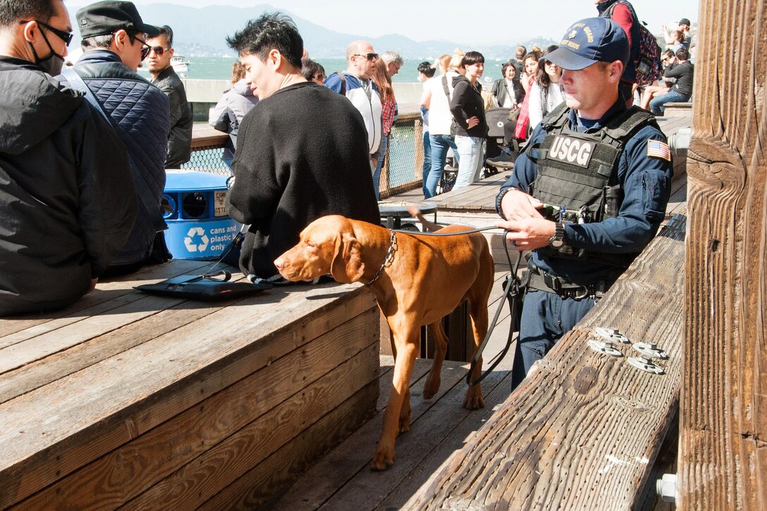 Petty Officer 1st Class Cory Sumner guides Feco, a bomb-detection dog, as they conduct pier sweeps.