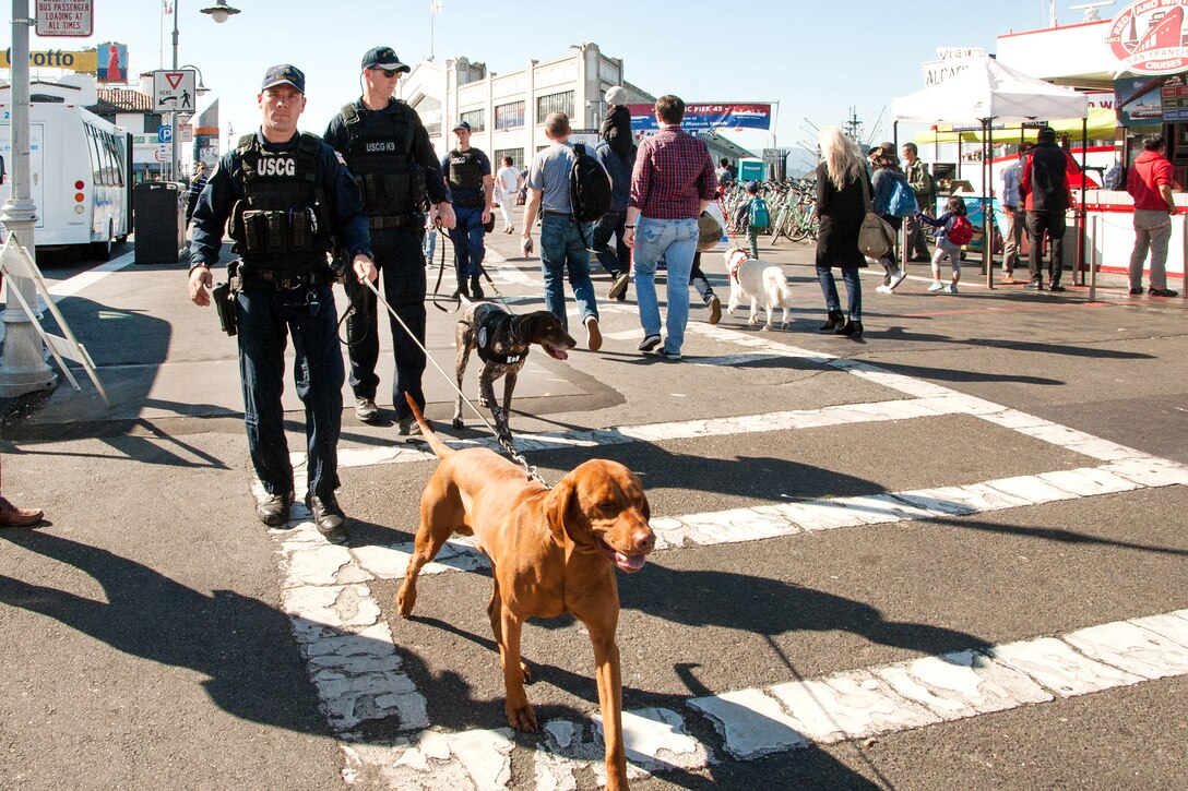 Petty Officers 1st Class Cory Sumner, left, and Devon Waite guide Feco, and Bingo, bomb-detection dogs, as they conduct pier sweeps during San Francisco Fleet Week.