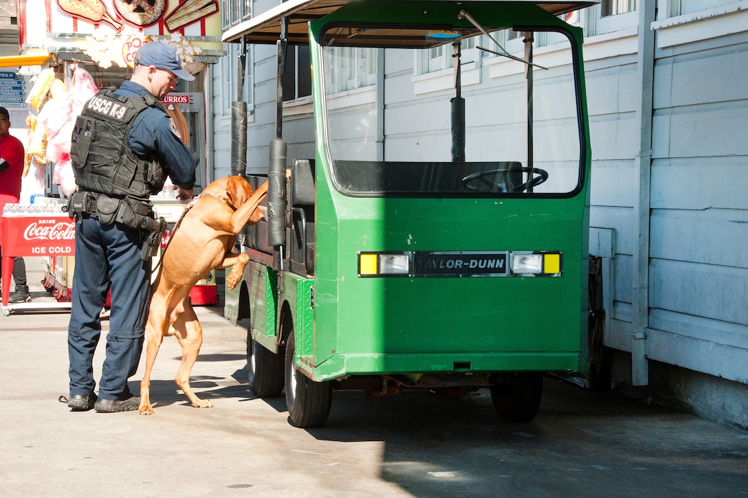 Petty Officer 1st Class Cory Sumner guides Feco, a bomb-detection dog, checking a cart vehicle while they conduct pier sweeps.
