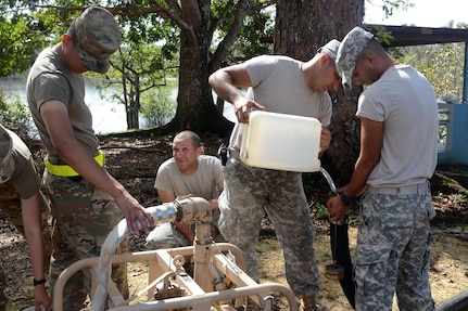 Lake purification in Puerto Rico