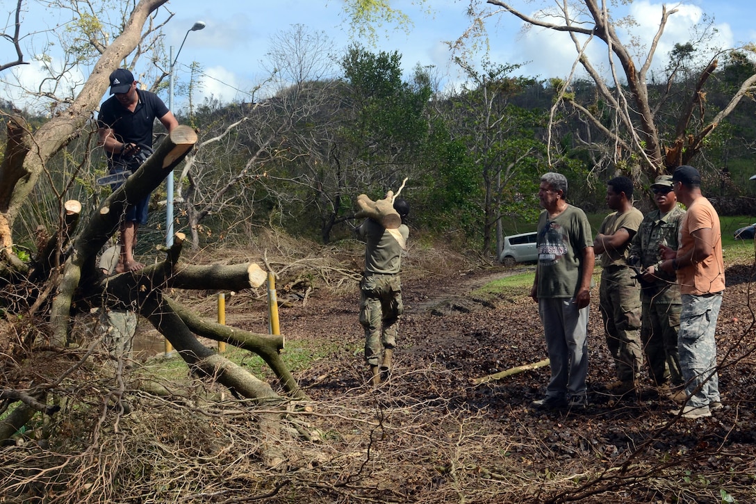 Lake purification in Puerto Rico