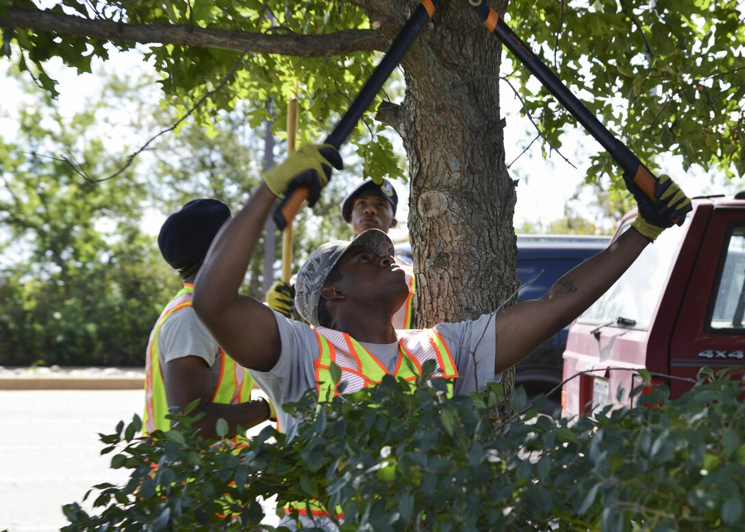 U.S. Air Force Airman 1st Class Matthew Boles, Base Appearance Team member, cuts down an overgrown tree branch at Joint Base Langley-Eustis, Va., Oct. 2, 2017.