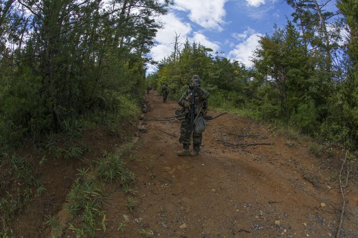 Wrapping up exercise Kamoshika Wrath