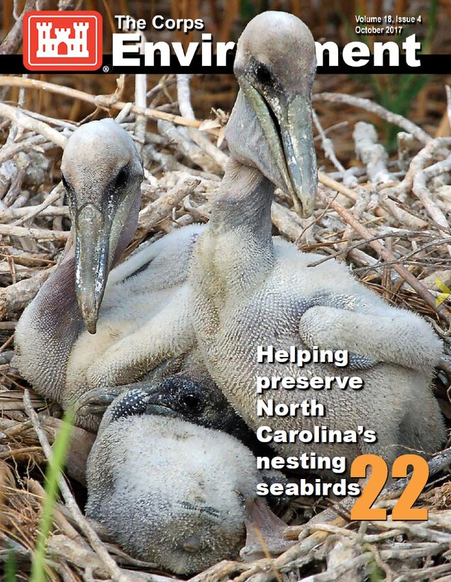 This issue of The Corps Environment features articles about the Alaska National Guard hosting the Pacific Environmental Security Forum; Energy Action Month; the Corps working to manage Hurricane Harvey runoff; EnviroPoint commentary on the Environmental Operating Principles; the Wilmington District helping to preserve seabird habitats; Sturgis decommissioning hits major milestone with nuclear reactor; U.S., Sri Lanka partnership increases oil spill preparedness; video news releases and environmental news clips; and more.