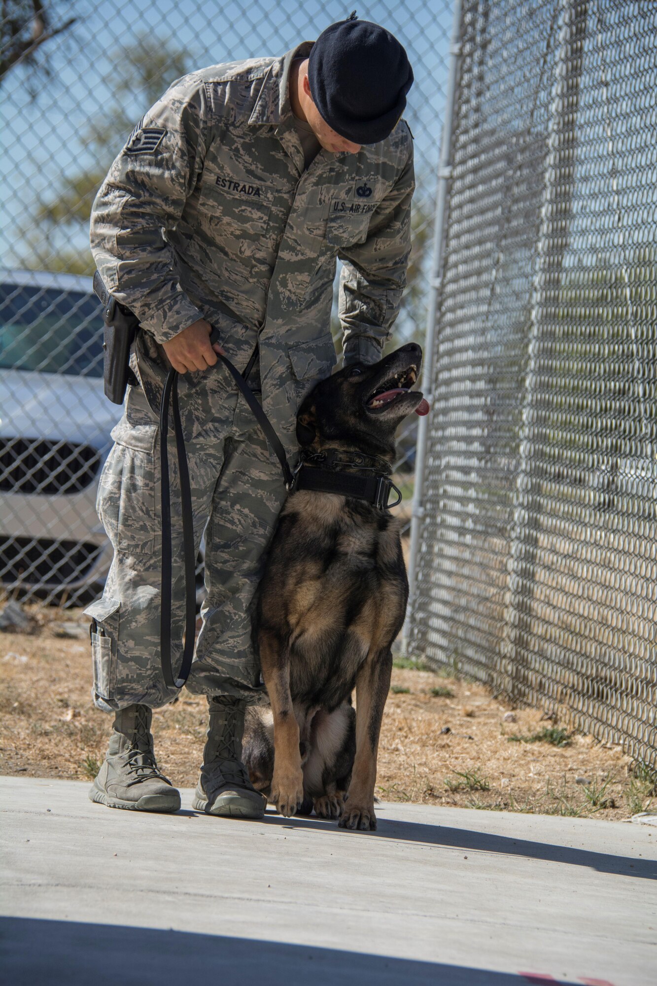 Staff Sgt. Jonathan Estrada 60th Security Forces Squadron military working dog handler and his MWD Huba, demonstrate commands and execution Oct. 5 at Travis Air Force Base, Calif. Huba is one of many military working dogs that practice daily to stay above the standards on their training. (U.S. Air Force photo by Airman 1st Class, Jonathon D. A. Carnell)