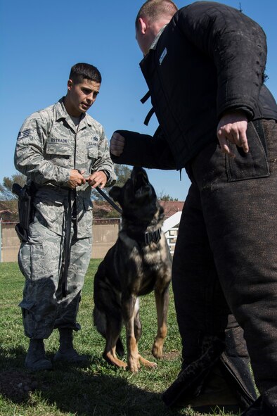 Staff Sgt. Jonathan Estrada, 60th Security Forces Squadron military working dog handler, gave his MWD, Huba, a command to attack an airman Oct. 5 at the 60th SFS dog handler training section at Travis Air Force Base, Calif. Huba is one of many military working dogs which practice daily to stay above the standards on their training. (U.S. Air Force photo by Airman 1st Class, Jonathon D. A. Carnell)