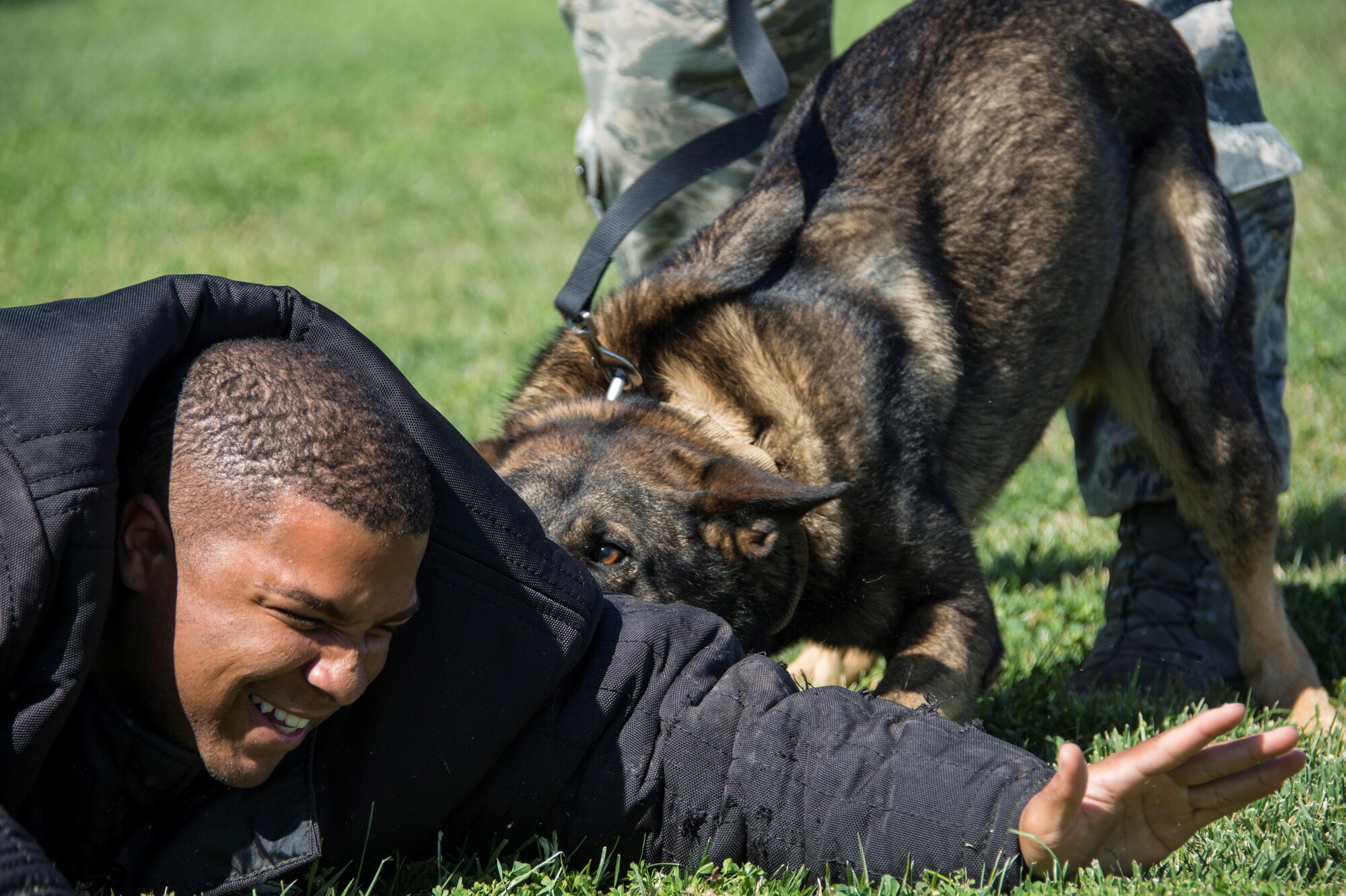 Staff Sgt. Christopher D. Childress II, 60th Security Forces Squadron military working dog trainer, allows Paco, a 60th SFS MWD, to bite him during an exercise Oct. 5 at Travis Air Force Base, Calif. Despite the heavy coat Childress wears for the exercise, he says some play-acting is required to let Paco know he’s doing a good job in subduing his perpetrator. (U.S. Air Force photo by Airman 1st Class, Jonathon D. A. Carnell)