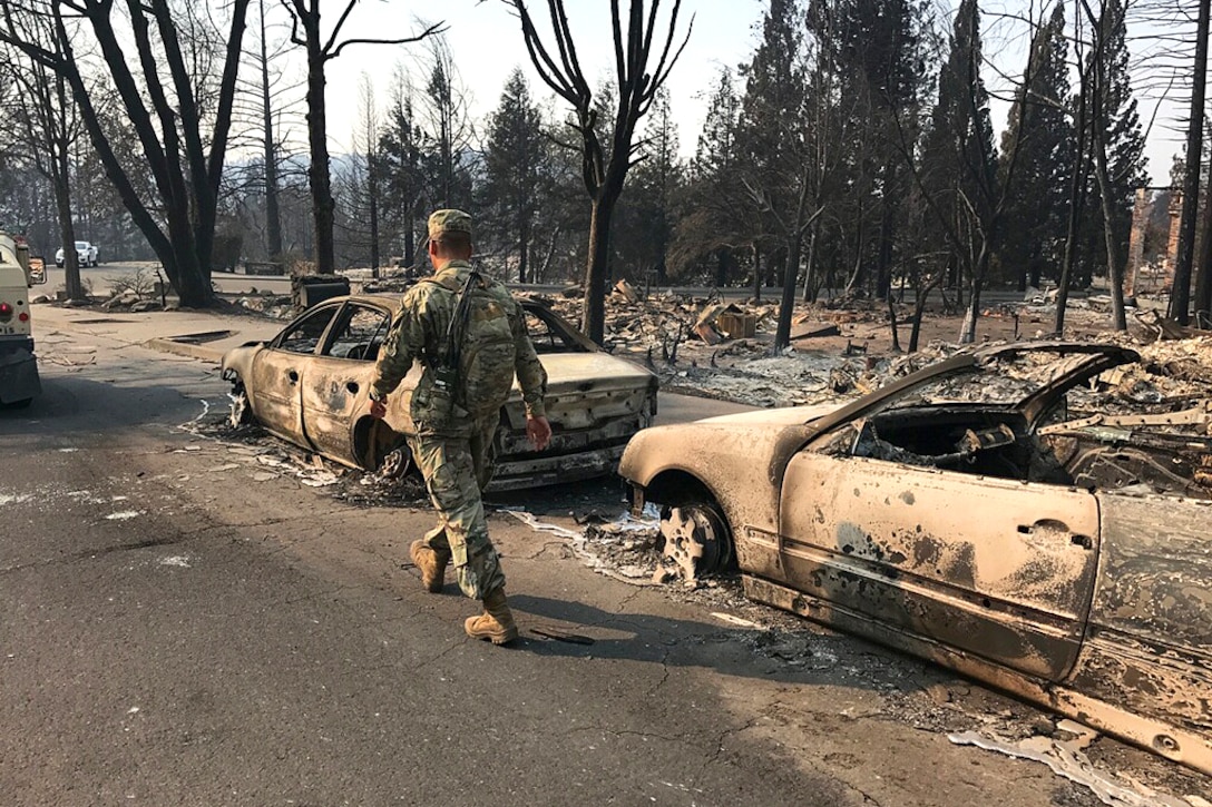 A soldier walks by a row of burned cars with burned trees nearby.