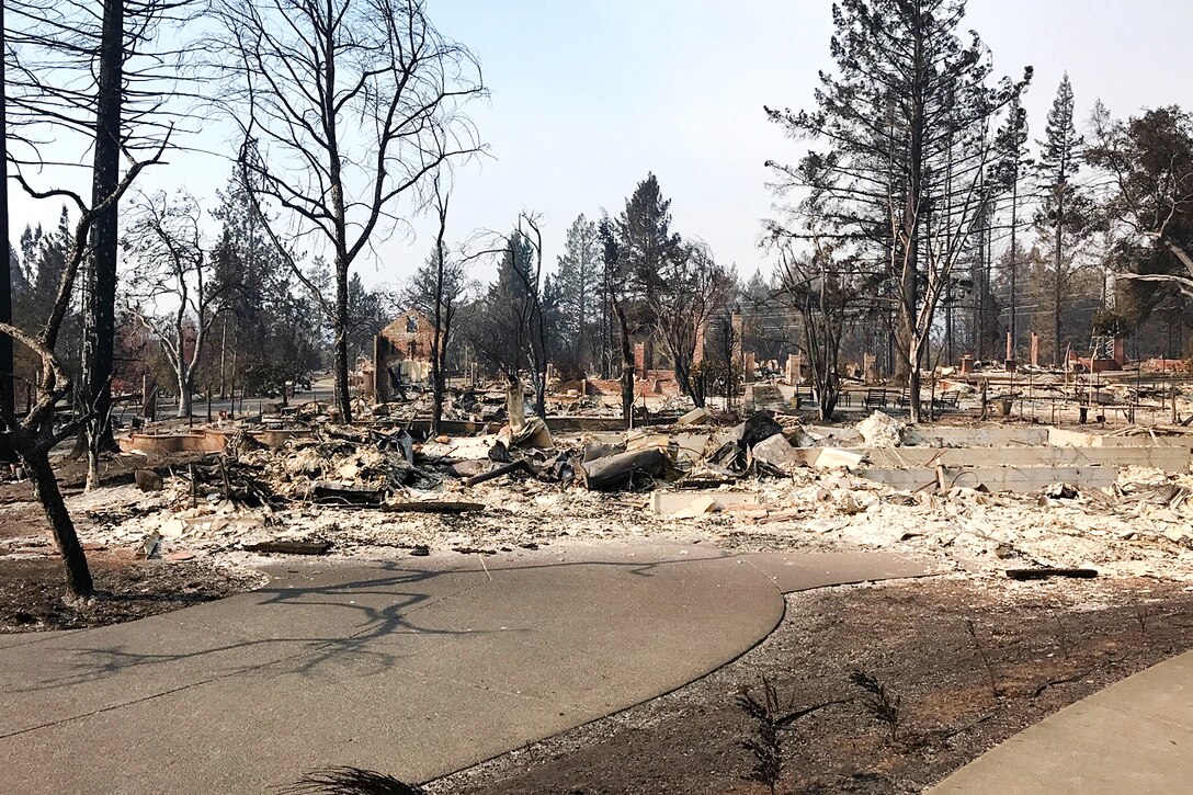 Burned trees and debris sit on the ground.