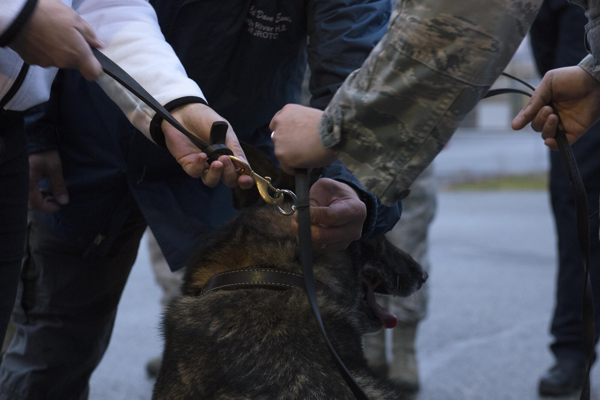 Air Force Staff Sgt. Kelly Szydlo, 673d Security Forces Squadron military working dog handler, transfers Ajax’s leash over to his new owners, Oct. 13, 2017, on Joint Base Elmendorf-Richardson, Alaska. Ajax has had seven handlers over the course of his career.