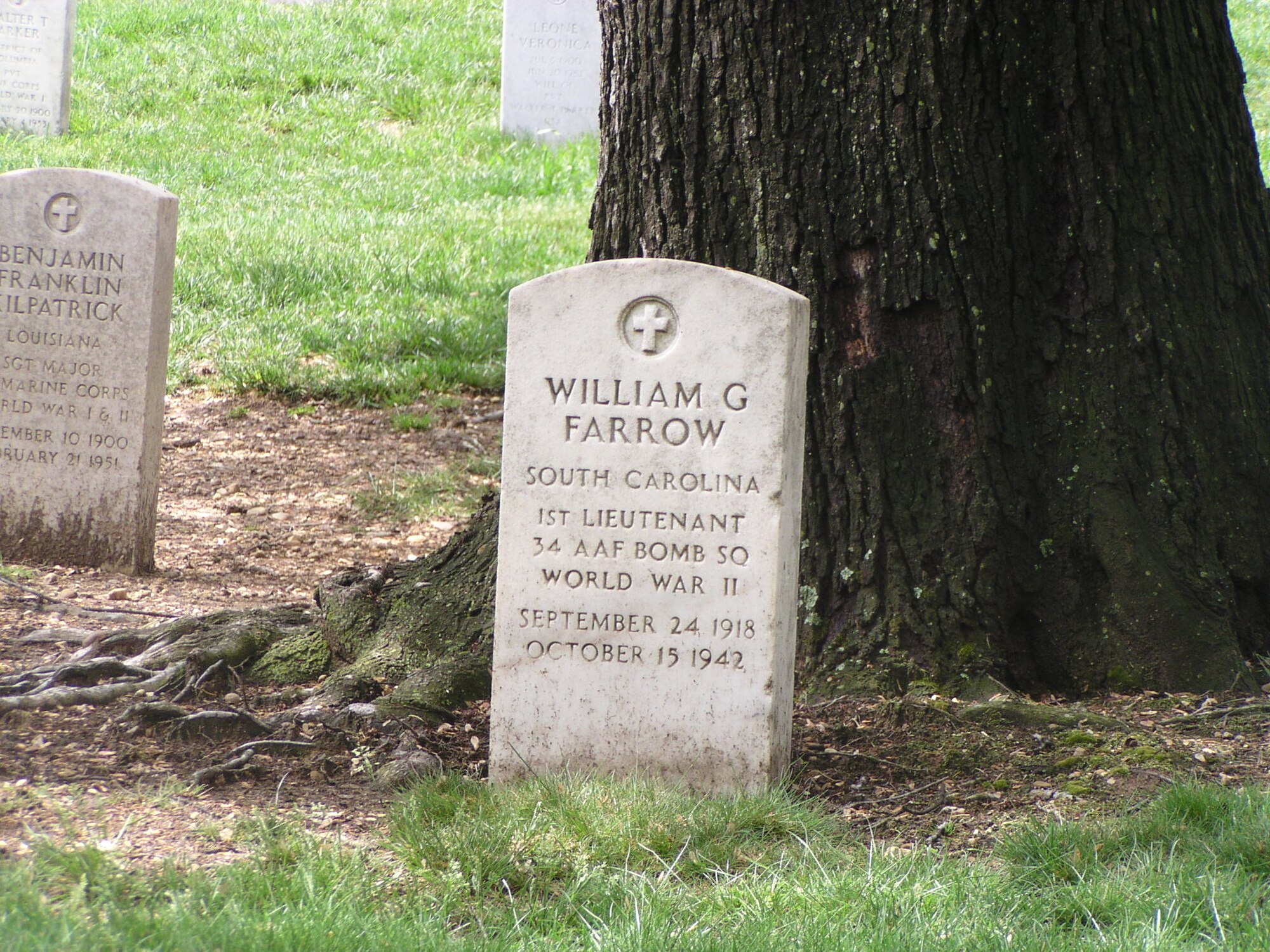 Farrow’s grave at Arlington National Cemetery in front of a tree. (Courtesy photo)