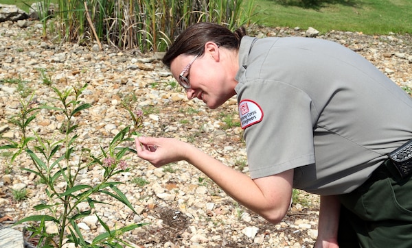 Leah Deeds, natural resources specialist, Little Rock District, U.S. Army Corps of Engineers looks at a pollinator at the Dewey Short Visitor Center at Table Rock Lake.