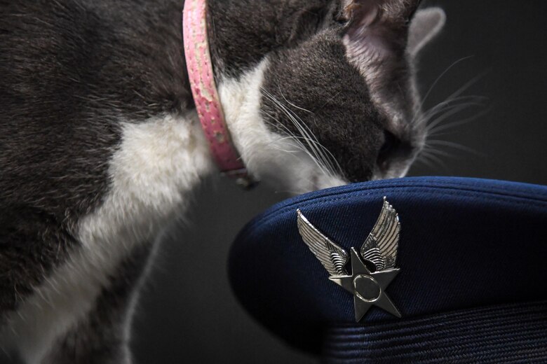 Fighting The War On Misis Right Meow Barksdale Air Force Base News