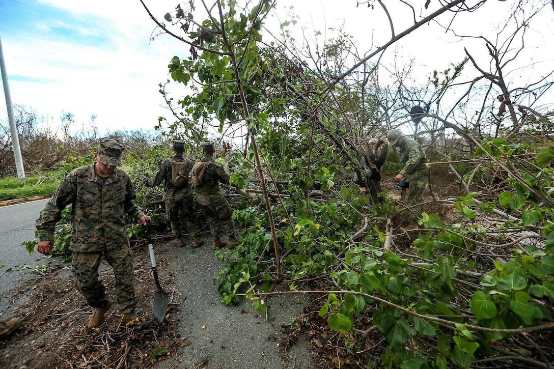 U.S. Marines with Battalion Landing Team 2nd Battalion, 6th Marine Regiment, 26th Marine Expeditionary Unit (MEU), Seabees with Amphibious Construction Battalion 2, and Marines with Detachment 1, Landing Support Company, Combat Logistics Regiment 45, 4th Marine Logistics Group, conduct road clearance operations in Ponce, Puerto Rico, Oct. 7, 2017.