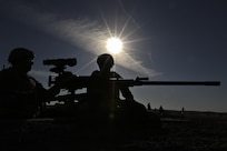 Operation Cold Steel II