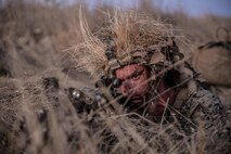 Lance Cpl. Mitchell Nicholas, a riflemen with 2nd Battalion, 1st Marine Regiment, 1st Marine Division, provides security during a Marine Corps Combat Readiness Evaluation at Marine Corps Base Camp Pendleton, Calif., June 15, 2017.