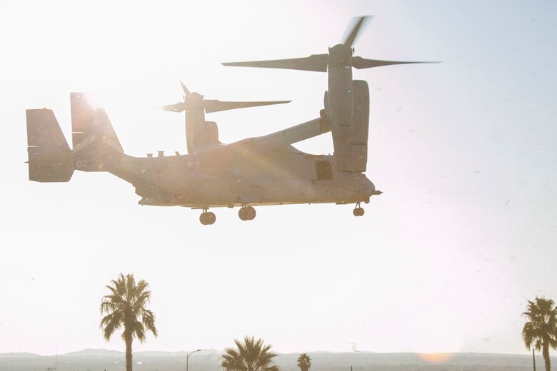 A MV-22 Osprey prepares to land on Lance Cpl. Torrey L. Gray Field aboard the Marine Corps Air Ground Combat Center, Twentynine Palms, Calif., Oct. 13, 2017. The landing was conducted as part of a non-combatant evacuation operation exercise in order to prepare Marines for the evacuation of non-essential U.S. citizens and Department of Defense personnel from dangerous situations overseas. (U.S. Marine Corps photo by Lance Cpl. Isaac Cantrell)