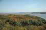View of Fall Foliage from Cordova Tower