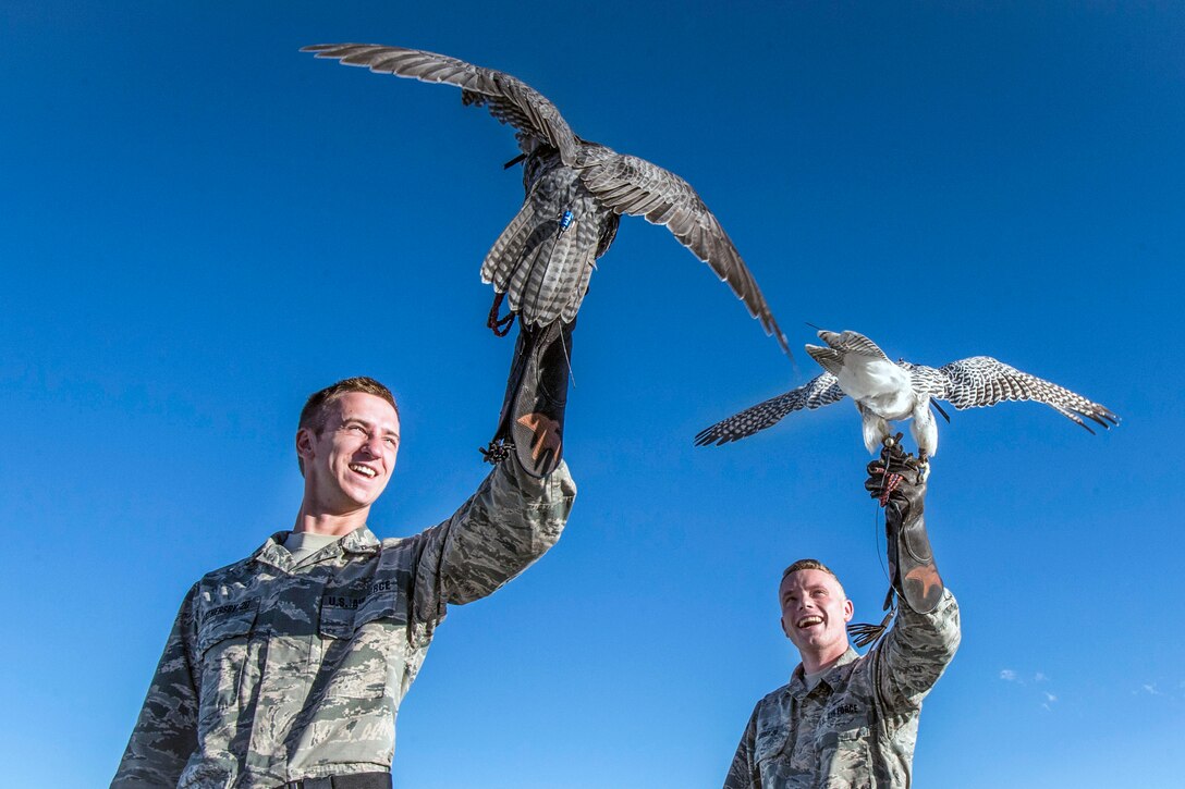 Two cadets each hold up a falcon on their arms.