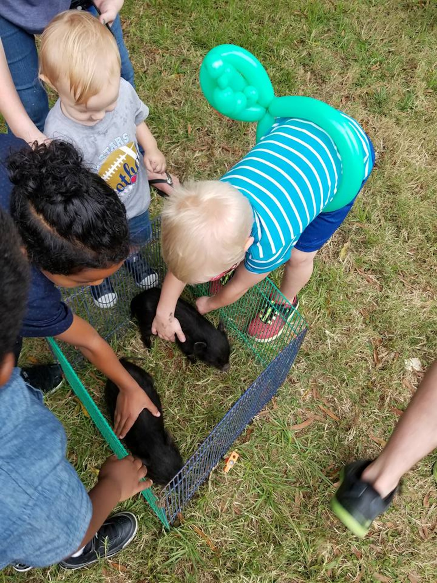 A group of children take turns petting piglets at this year's Family Day Oct. 14, 2017 at Dobbins Air Reserve Base, Ga. Family Day is held here annually as a way of bringing families on base to see what their Reserve Citizen Airmen do on drill weekends. (U.S. Air Force photo/Senior Airman Lauren Douglas)