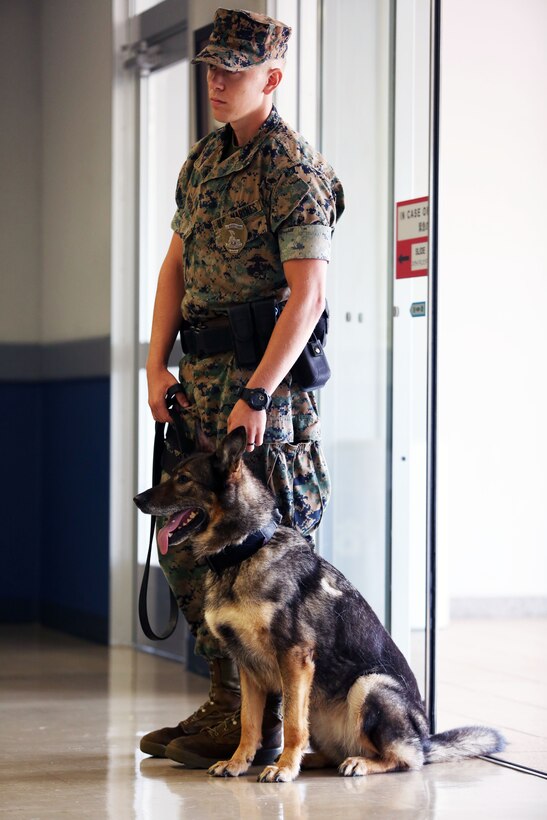 A Marine stands next to a dog on a leash.