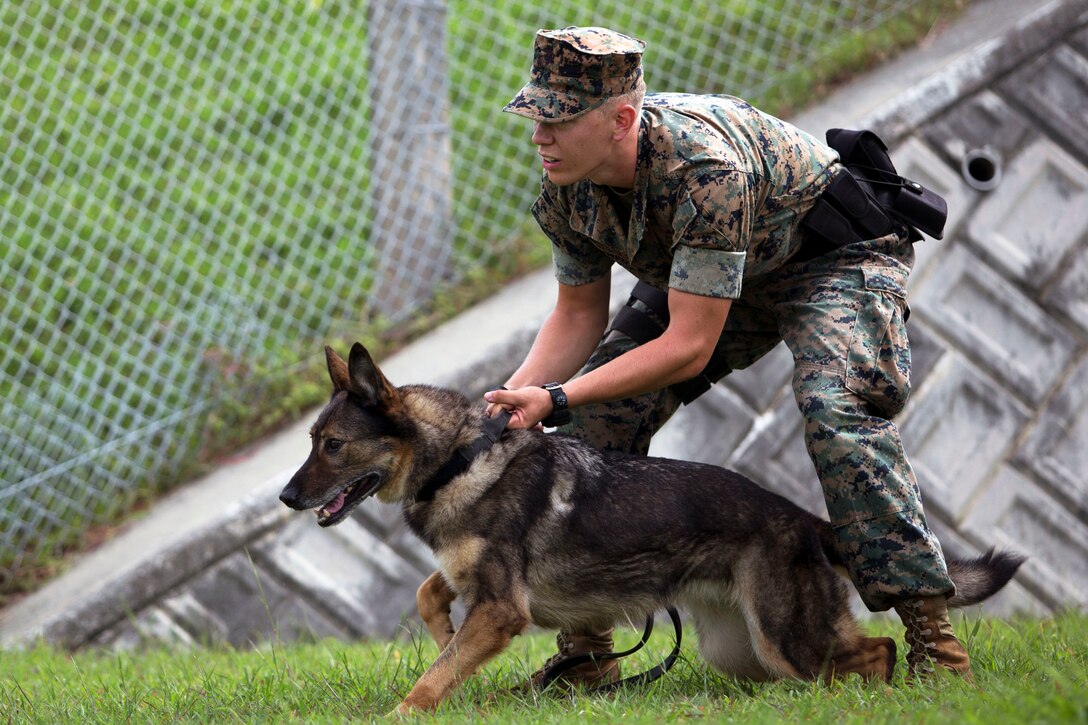 A Marine holds a dog's collar as it tries to run.