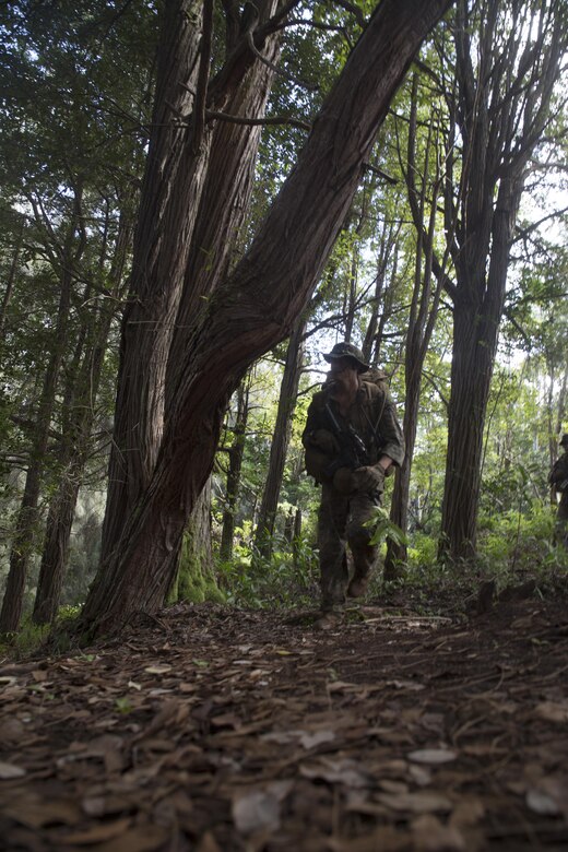 Sgt. Zachary Malik, a student of Recon Team Leaders Course (RTLC), scans the forest during a jungle patrol, East Range, Schofield Barracks, Oct. 18, 2017. RTLC is an 8-week advanced joint-service course that takes place in three key geographical regions of operation such as classes at Camp Pendleton, California, desert patrol operations in Yuma, Arizona, and ending with jungle and amphibious exercises across Oahu, Hawaii. (U.S. Marine Corps photo by Lance Cpl. Luke Kuennen)
