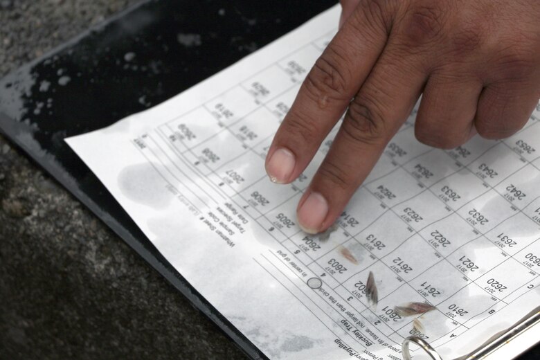 Fin clips are collected and used for DNA analysis during the Muckleshoot and Puyallup Tribes’ monitoring of fish returns and hatchery stock collection at the U.S. Army Corps of Engineers trap and haul facility in Buckley, Washington.