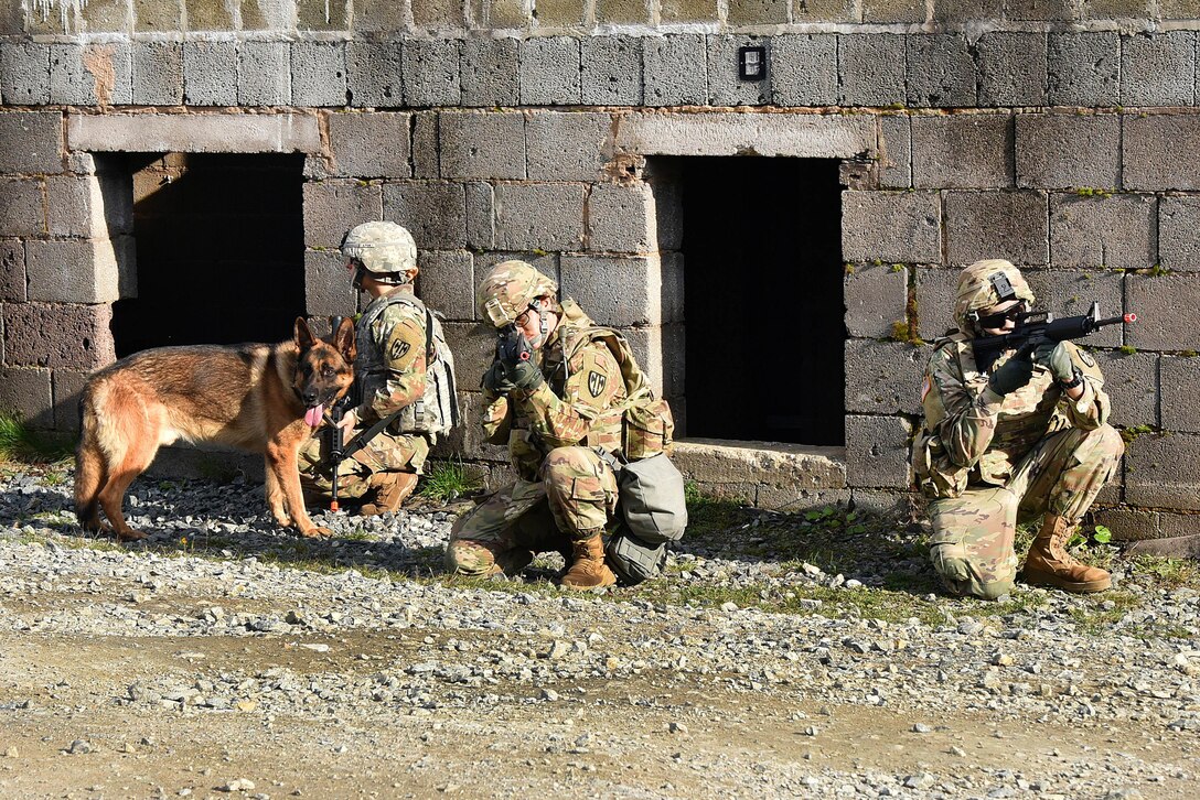 Soldiers and their military working dog provide security before entering a building during urban operations training.