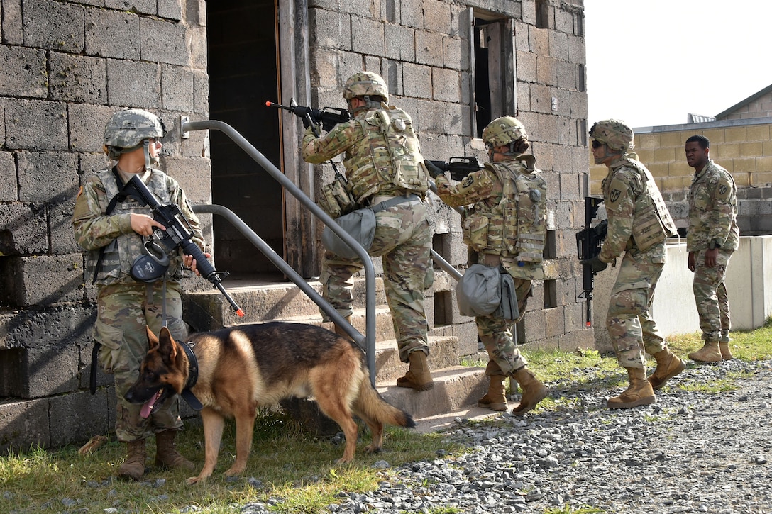 A soldier and a military working dog provide security as team members enter and prepare to clear a building during urban operations training.