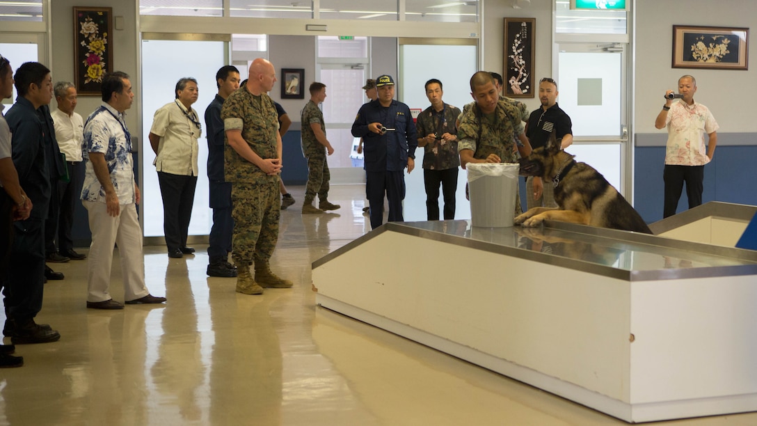 The Okinawa Prefectural Police watches as Cpl. Maximilian Belcaro and Military Working Dog Dak conduct narcotics training.
