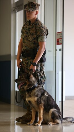 Lance Cpl. Garrett Impola stands guard during a K-9 demonstration.