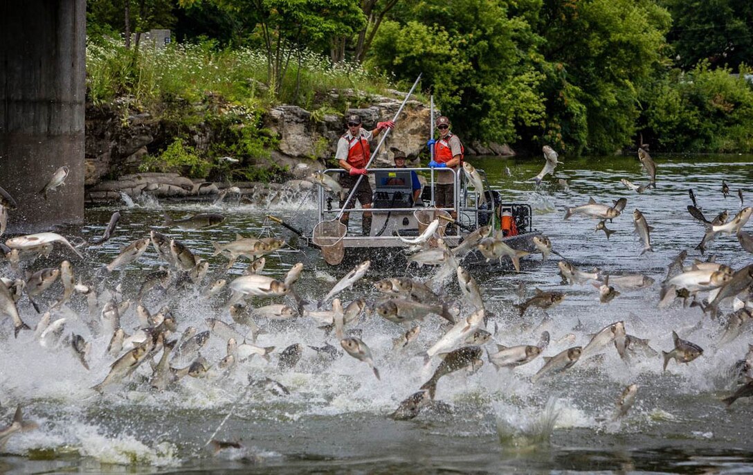 Our Mississippi