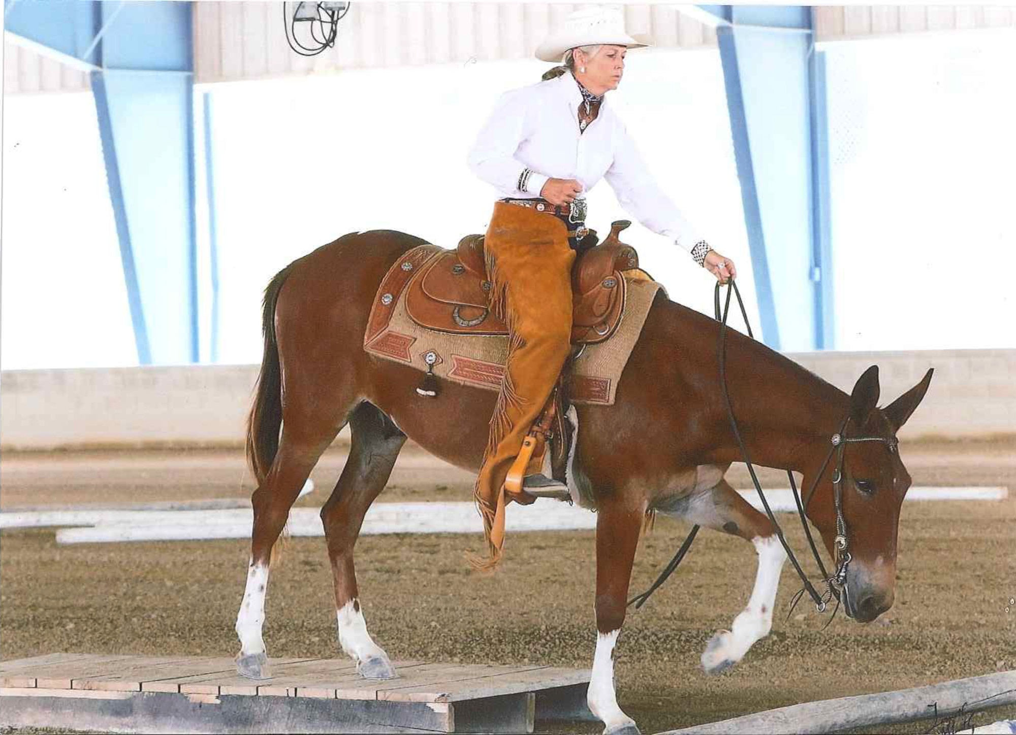 Kim Russell, AEDC property specialist, shows off the reining skills of her mule Gus. Russell had shown horses in competitions for many years but later became interested in acquiring a mule. She later found Gus through an ad on Craigslist and has since trained him to become a competition-winning mule. (Courtesy photo/Kim Russell)