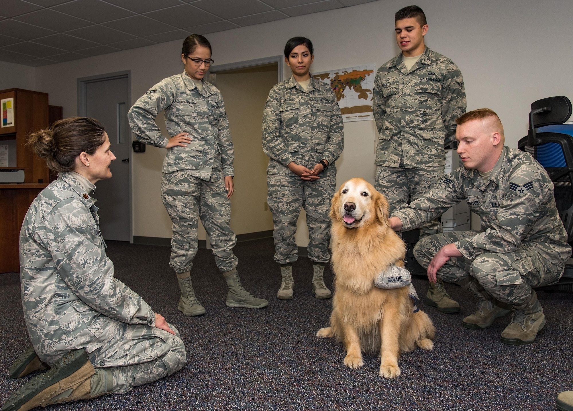 Maj. Regina Owen, 436th Medical Operations Squadron psychiatric mental health nurse practitioner, introduces Lt. Col. Goldie, a nine-year-old Golden Retriever therapy dog stationed at Walter Reed National Military Medical Center, Bethesda, Md., to members of the 436th Comptroller Squadron, Oct. 19, 2017, on Dover Air Force Base, Del. As part of Family Advocacy’s outreach during Domestic Violence Awareness Month, Owen escorted Goldie around the base to meet with Team Dover personnel during his temporary duty assignment to Dover. (U.S. Air Force photo by Roland Balik)