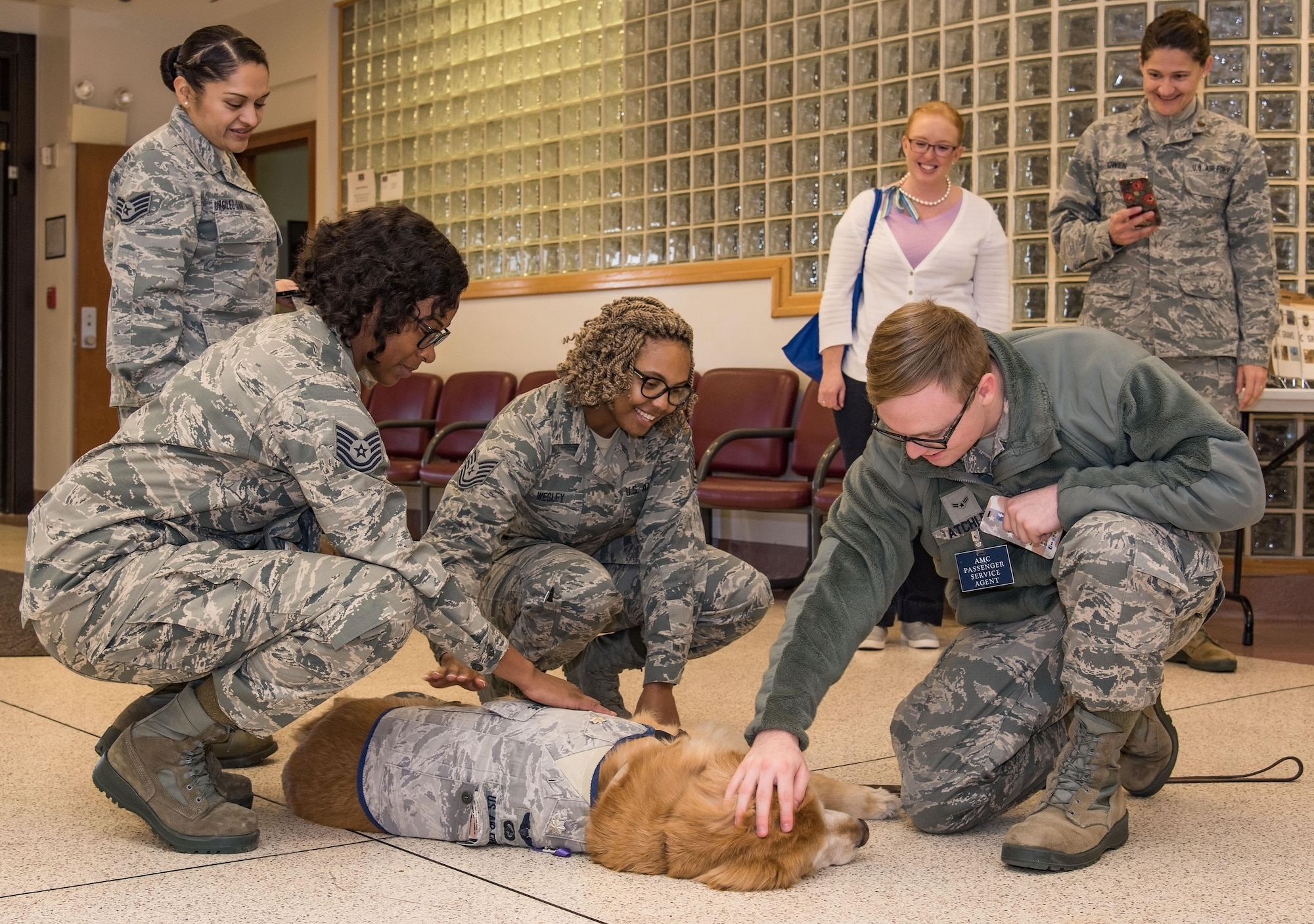 Maj. Regina Owen, 436th Medical Operations Squadron psychiatric mental health nurse practitioner, and Jennifer Houseman, 436th MDOS Family Advocacy program assistant, both top right, watch Team Dover members pet and talk to U.S. Air Force therapy dog Lt. Col. Goldie, a nine-year-old Golden Retriever, Oct. 19, 2017, in the passenger terminal on Dover Air Force Base, Del. Goldie is stationed at Walter Reed National Military Medical Center, Bethesda, Md., and was part of Family Advocacy’s Domestic Violence Awareness Month outreach by going around the base meeting Team Dover personnel. (U.S. Air Force photo by Roland Balik)