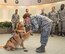 Col. Dawn Lancaster, Air Force Mortuary Affairs Operations commander, gives Lt. Col. Goldie a treat and a kiss on the nose during his visit with AFMAO personnel, Oct. 20, 2017, on Dover Air Force Base, Del. Goldie is a nine-year old Golden Retriever therapy dog stationed at Walter Reed National Military Medical Center, Bethesda, Md., came to the base to be part of the 436th Medical Operations Squadron Family Advocacy’s Domestic Violence Awareness Month outreach. (U.S. Air Force photo by Roland Balik)