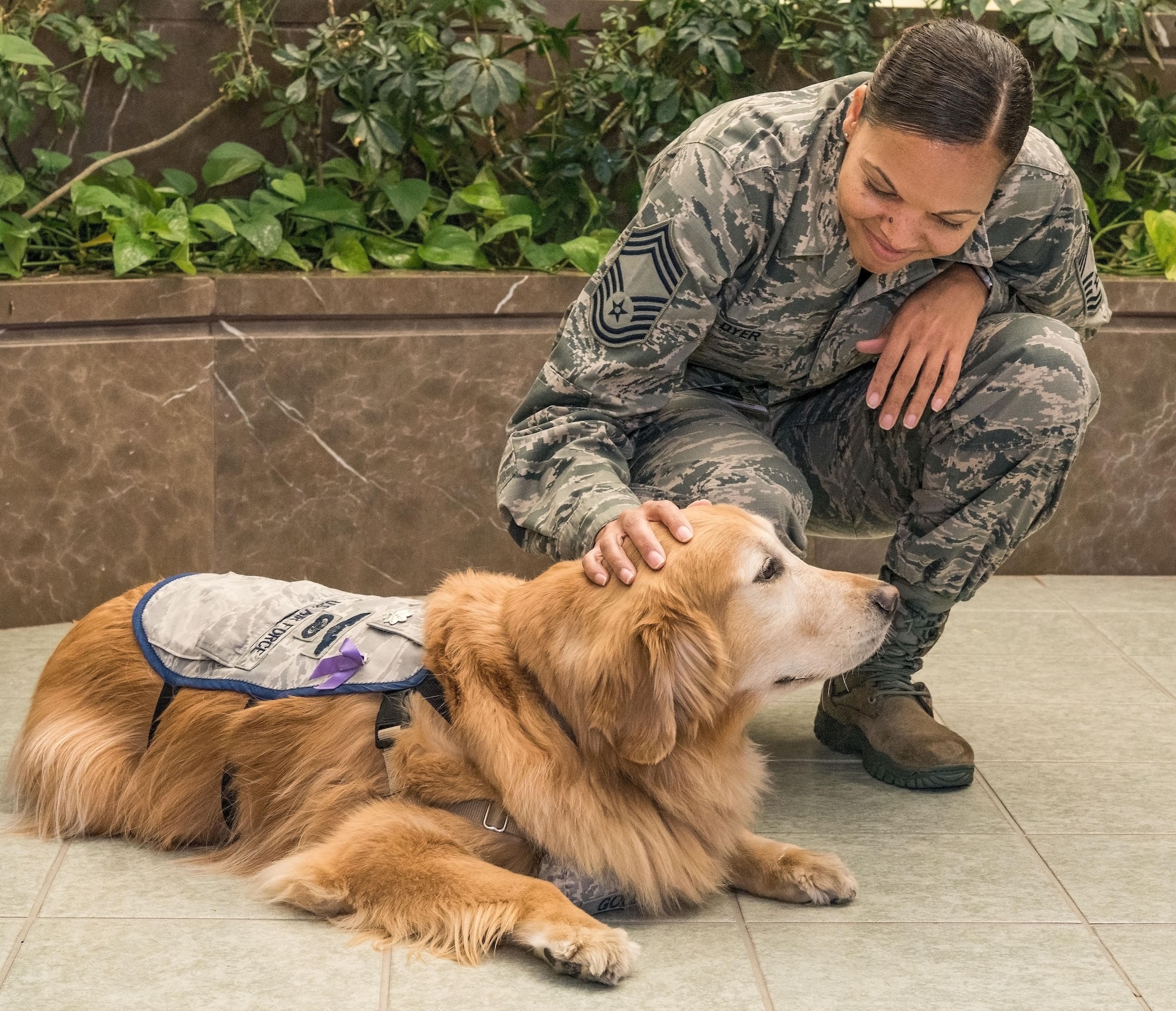 Chief Master Sgt. Meshelle Dyer, Air Force Mortuary Affairs Operations chief enlisted manager, pets Lt. Col. Goldie during his visit to AFMAO, Oct. 20, 2017, on Dover Air Force Base, Del. Goldie is a nine-year old Golden Retriever therapy dog stationed at Walter Reed National Military Medical Center, Bethesda, Md. He is the only therapy dog in the U.S. Air Force. (U.S. Air Force photo by Roland Balik)