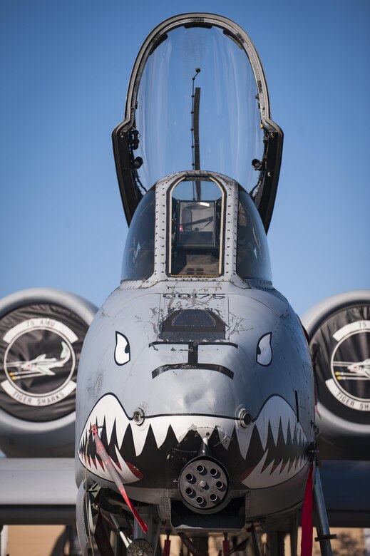 Airmen from the 23d Maintenance Group perform a weapons load demonstration in front of a crowd of spectators, during Thunder Over South Georgia Air and Space Expo, Oct. 28, 2017, at Moody Air Force Base, Ga.In addition to aerial events, the airshow also provided a unique opportunity to educate the public on past and present Air Force capabilities, increase recruiting and show appreciation to the local community. (U.S. Air Force photo by Andrea Jenkins)