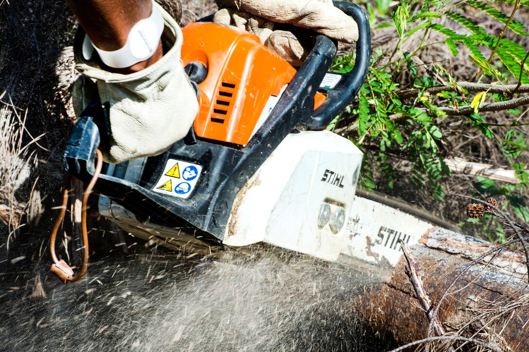 A closeup of a chainsaw in use.