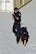Terry Williams, Stantonsburg Police Department canine officer, and Aaron, police working dog, pursue a simulated suspect in a high-risk patrol scenario during the East Coast Iron Dog competition, Oct. 25, 2017, at Seymour Johnson Air Force Base, North Carolina. During the scenario, the officer exchanged simulated fire with a suspect, followed him into a house, and released the canine to take him down. (U.S. Air Force photo by Airman 1st Class Kenneth Boyton)