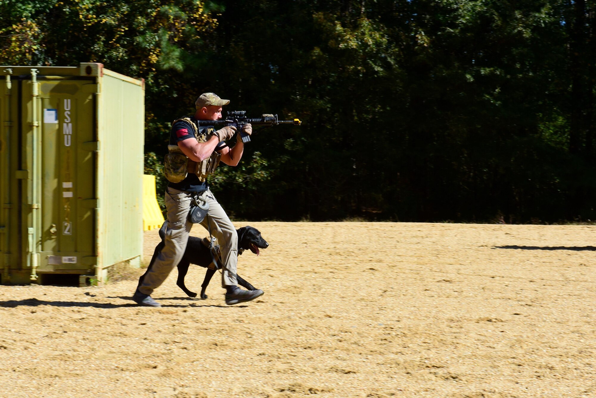 U.S. Marine Corps Cpl. Daniel Barker, 2nd Law Enforcement Battalion military working dog handler, and Marsh, 2nd LEB specialized search dog, engage a simulated threat during the East Coast Iron Dog competition, Oct. 25, 2017, at Seymour Johnson Air Force Base, North Carolina. After engaging the threat with simulated gunfire, the team entered a house and arrested a hostile suspect. (U.S. Air Force photo by Airman 1st Class Kenneth Boyton)