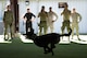 EEland, 4th Security Forces Squadron military working dog, chases after a simulated suspect in a bite suit during the “Hardest Hit” portion of the East Coast Iron Dog competition, Oct. 25, 2017, at Seymour Johnson Air Force Base, North Carolina. Dogs and their handlers from Camp Lejeune, North Carolina, and the Stantonsburg Police Department competed in the competition. (U.S. Air Force photo by Airman 1st Class Kenneth Boyton)