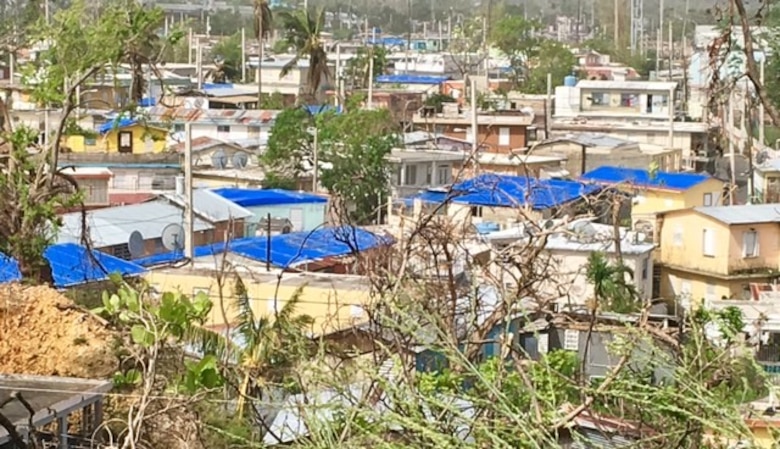 Blue Roofs color the horizon of a San Juan neighborhood.