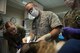 U.S. Army Capt. Margot Boucher, Officer-in-Charge of the base Veterinary Treatment Facility, 358th Medical Detachment, veterinary service support, observes U.S. Air Force Lt. Col. Brent Waldman, the medical operations flight commander assigned to the 386th Expeditionary Medical Group, as he performs a root canal procedure on a military working dog at an undisclosed location in Southwest Asia, Aug. 30, 2017. Waldman, an Air Force dentist, worked with the Army's veterinary clinic to provide the medical treatment to the military working dog. (U.S. Air Force photo by Tech. Sgt. Jonathan Hehnly)