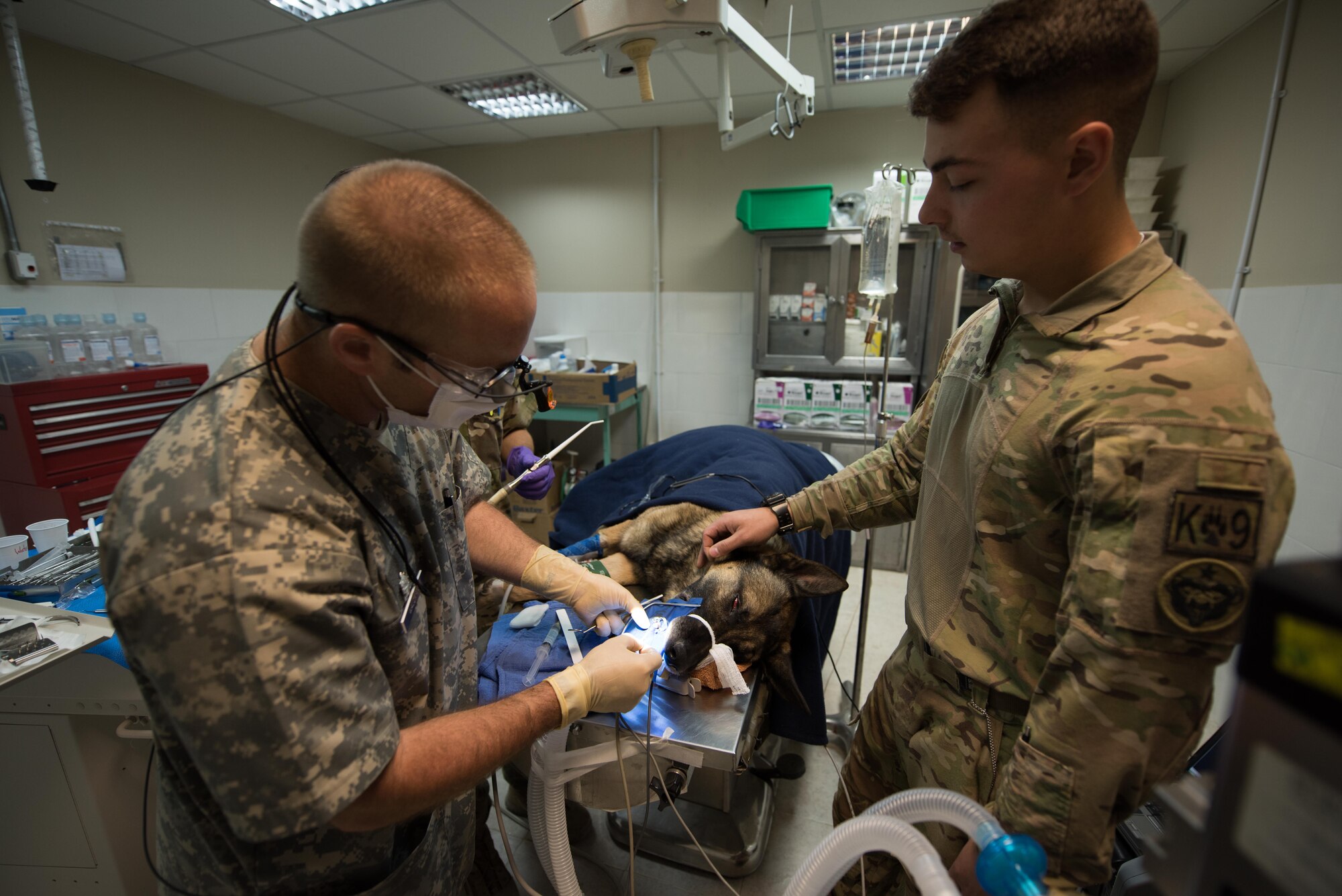 U.S. Air Force Lt. Col. Brent Waldman, left, assigned to the 386th Expeditionary Medical Group, performs a root canal on Arthur, a military working dog, after he fractured his tooth during a training exercise. U.S. Army Pfc. Landon Kelsey, right, a military working dog handler assigned to the 1st Armored Division, accompanies Arthur during the procedure in an undisclosed location in Southwest Asia, Aug. 30, 2017. (U.S. Air Force photo by Tech Sgt. Jonathan Hehnly)