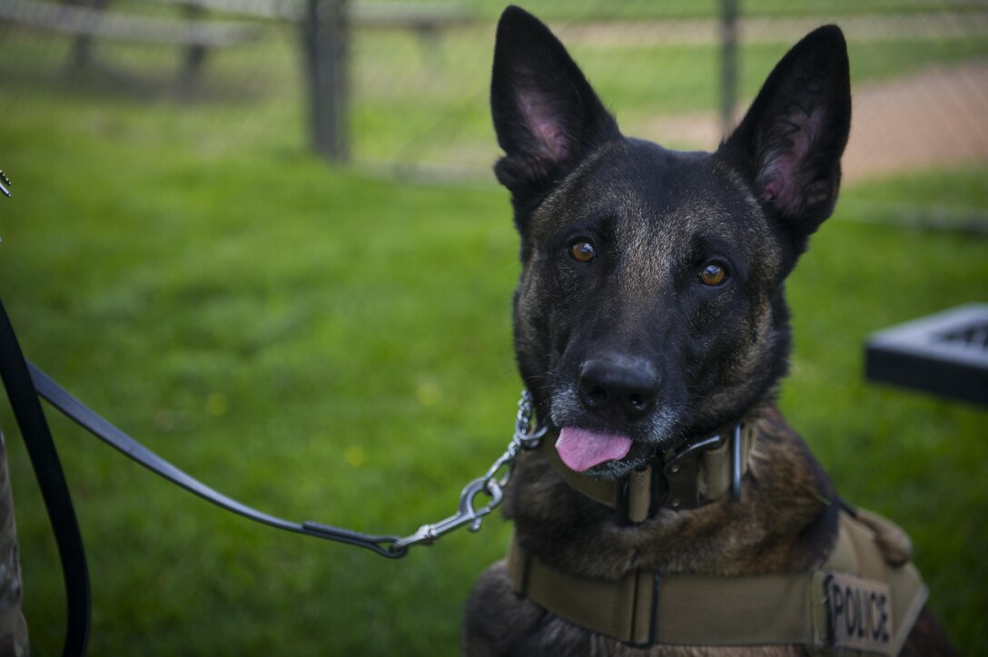 Could not load photo