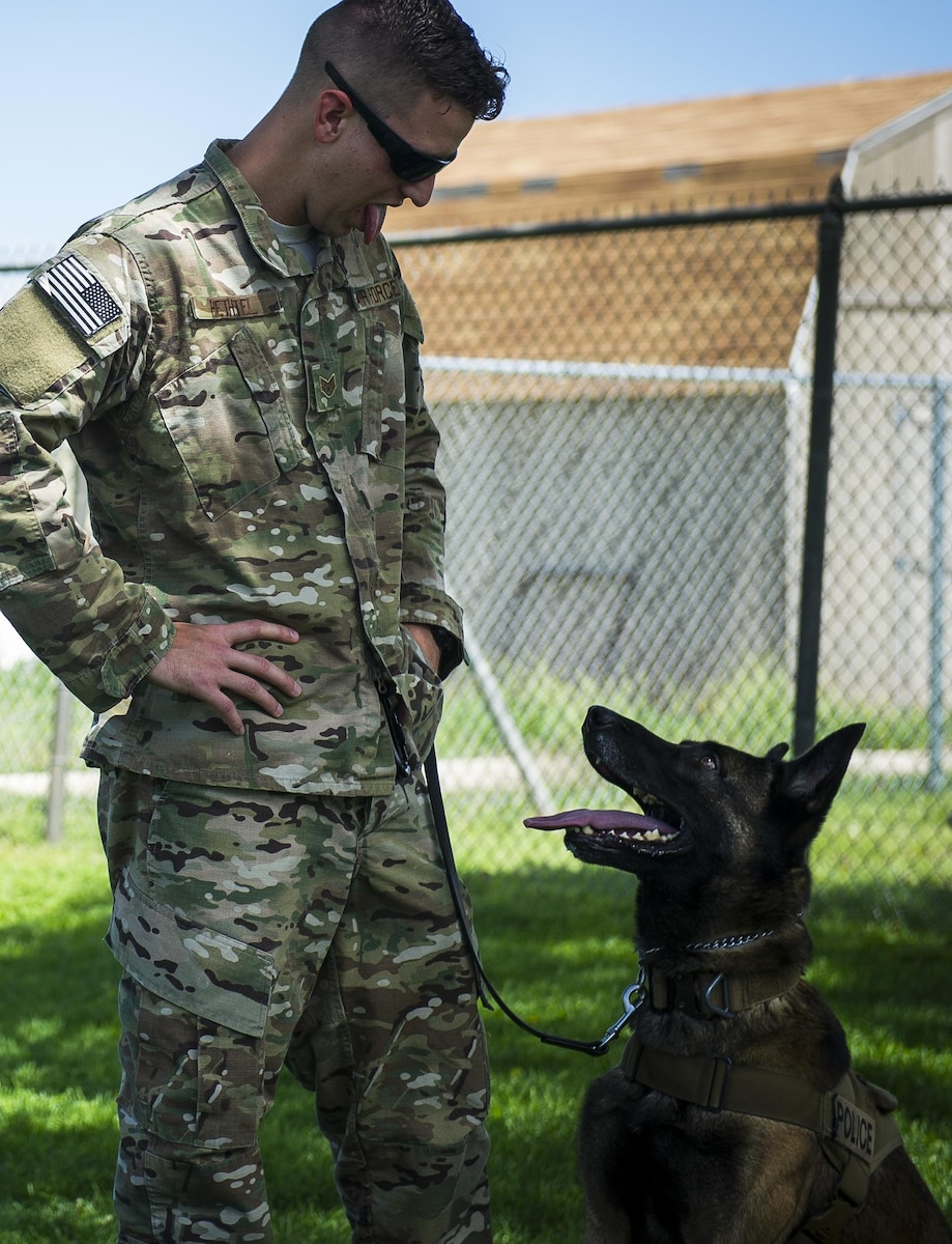 Military K9 unit capabilities by respect > Air Force Special