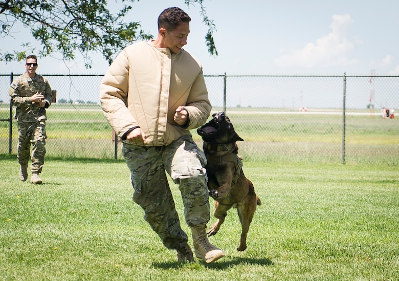 Military K9 unit capabilities by respect > Air Force Special